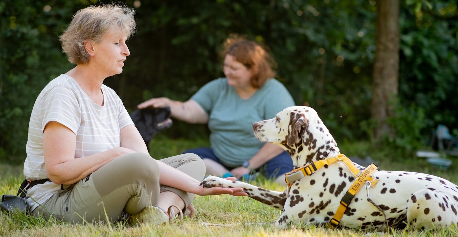 Dagmar Spillner Kommunikation Hundeschule Pfote geben