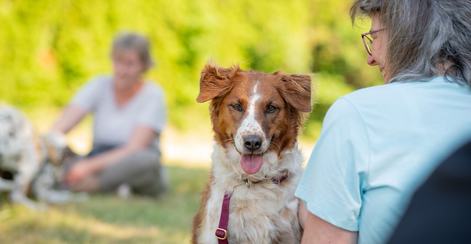 Dagmar Spillner Kommunikation Hundeschule Spass