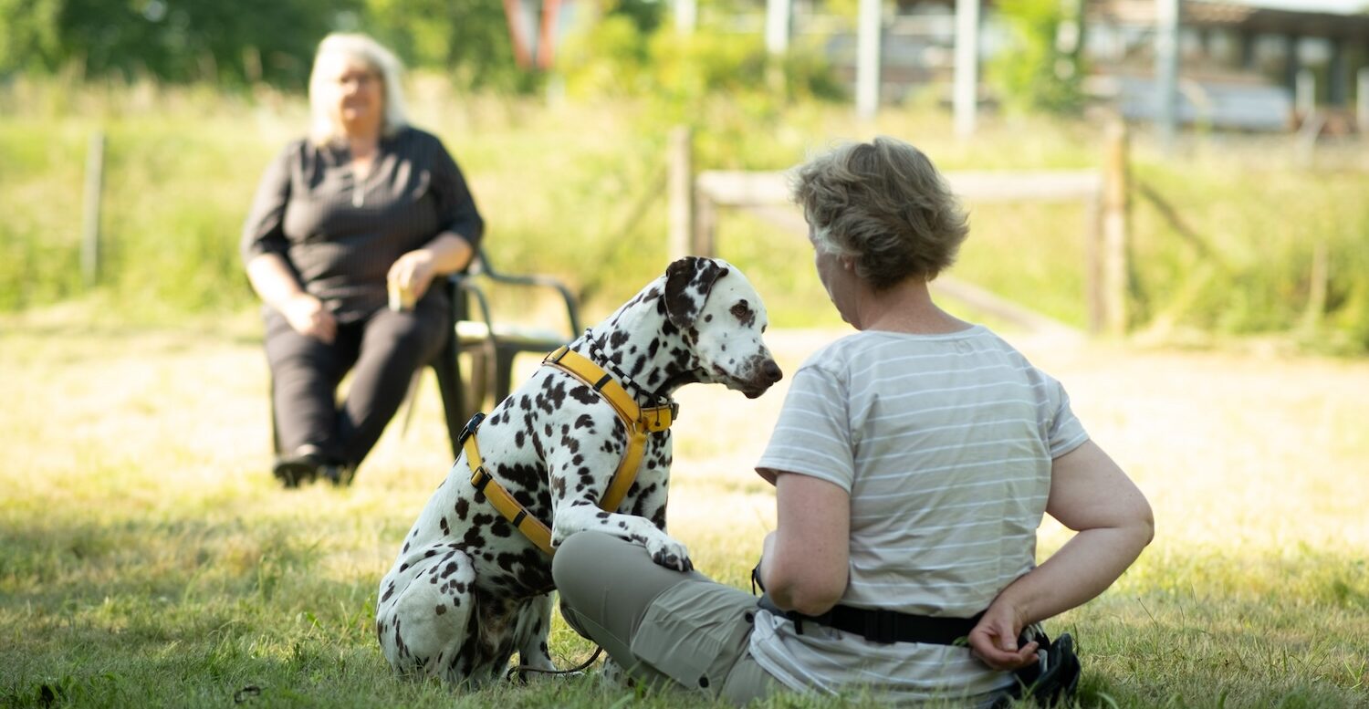 Dagmar Spillner Kommunikation Hundeschule Training