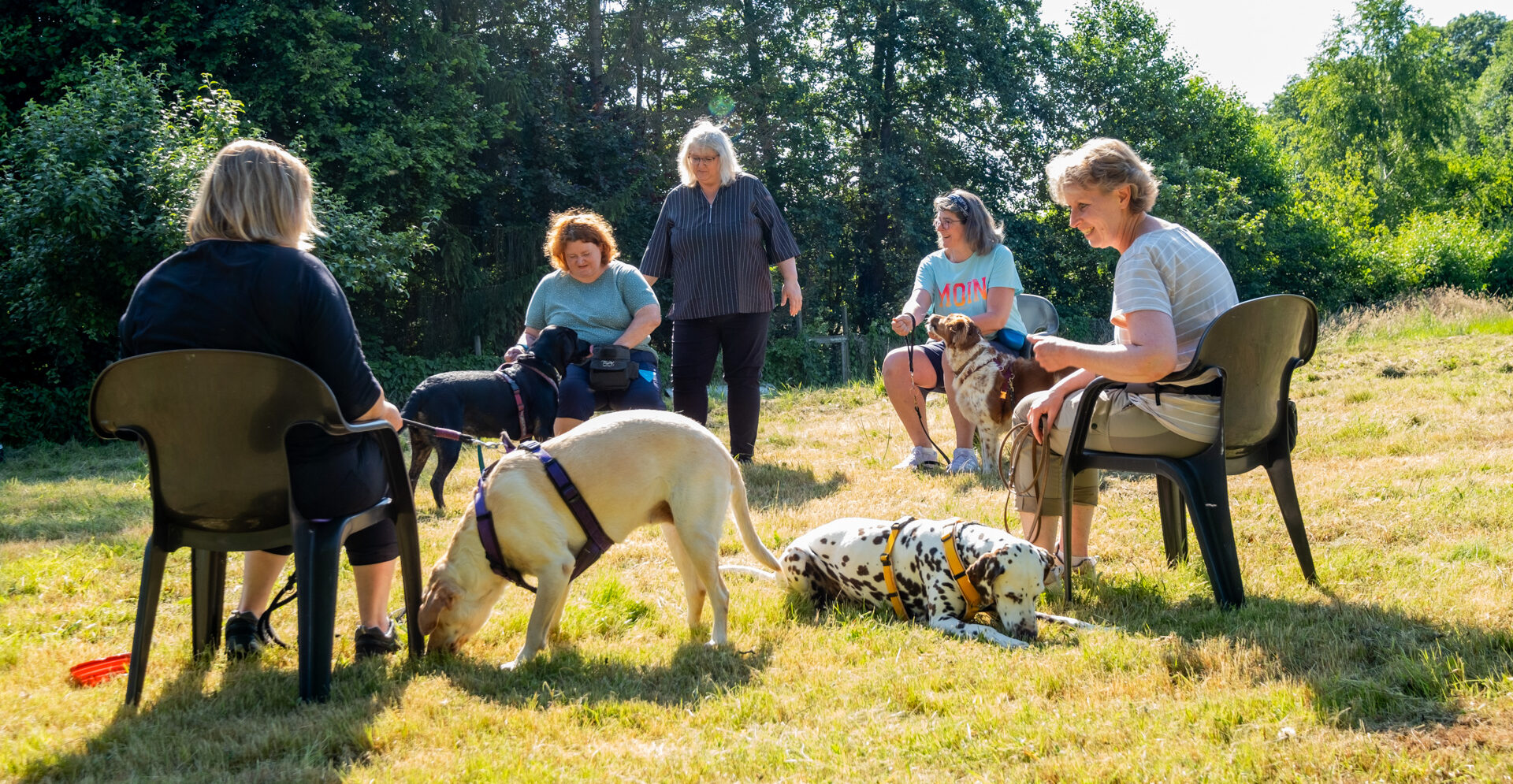 Dagmar Spillner Kommunikation Hundeschule